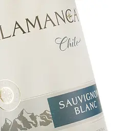 Вино Talamanca Sauvignon Blanc DO, біле, сухе, 0,75 л - мініатюра 3