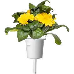 Змінний картридж Click & Grow Календула 3 картриджі (3160) - мініатюра 3