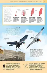 1000 Amazing Dinosaur Facts - мініатюра 3