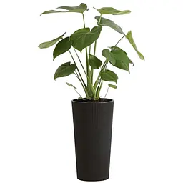 Вазон Lamela Lilia Jumper 25.5x46.6 см графітовий (9508648) - мініатюра 3