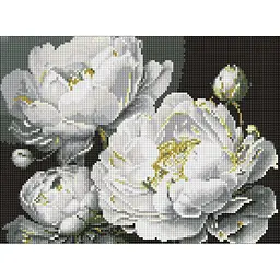 Алмазна мозаїка Бездоганна краса AMO8169, 30x40 см