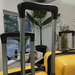 Валіза Swissbrand Eden S Yellow (SWB_LHEDE002S) - мініатюра 4