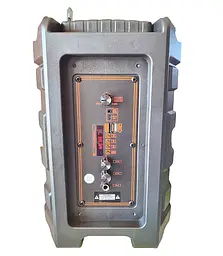 Бездротова Bluetooth-колонка NDR P33 8 дюймів 15W - мініатюра 6