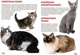 Велика книга Кристал Бук Кішки (F00013018) - мініатюра 3
