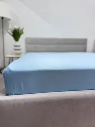 Простирадло на резинці Ecotton 180х200 см блакитний Blue 24584 (24584)
