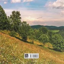 Буковина. Чернівецька область - мініатюра 3