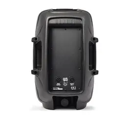 Пассивная акустическая система BIG JB15L300W8Ohm - мініатюра 3