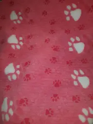 Килимок Jackson Textiles Big Paws pink 160х300 см (JT-016-3) - мініатюра 3