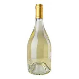 Вино Fattoria Viticcio Vermentino BIO IGT Toscana біле сухе 0.75 л - мініатюра 3