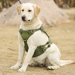 Шлейка для собак Vest, тактичний жилет з ручкою і системою MOLLE, регульований, Зелений L - мініатюра 7