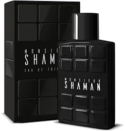 Туалетна вода для чоловіків Arno Sorel (Corania Parfums) Shaman Monsier 100 мл (MM35404)