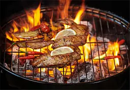 Гриль GardenLine BBQ5313 - мініатюра 7