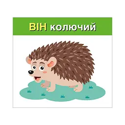 Навчальні картки "Вивчаємо займенники ОН,ОНА,ВОНО,ВОНИ" Ранок 10109168, 15 карток - мініатюра 3