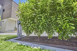 Комплект поливу Gardena Micro-Drip-System для рядного поливу 25 м, 1.6 л/год (13500-20) - мініатюра 2
