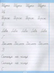 Тренажер для списування речень і текстів. Широка лінійка - Анастасія Фісіна - мініатюра 6
