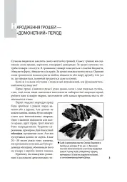 Історія грошей - мініатюра 3