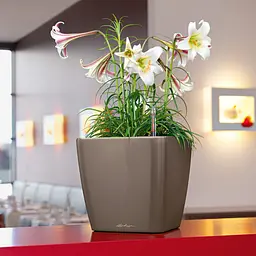Вазон Lechuza Quadro Premium LS, 17 л, білий (16160) - мініатюра 6