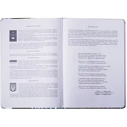 Щоденник шкільний ZiBi Silver В5 48 аркушів срібний (ZB.13214-24) - мініатюра 3