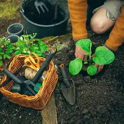 Розрихлювач ручний Fiskars Solid 8,2 см, три зуба, 1001600 (1072102) - мініатюра 3
