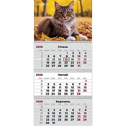 Календар настінний Axent Cats 2 на пружинах квартальний на 2026 рік (8803-26-14-A)
