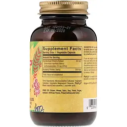Екстракт чорниці Solgar Bilberry Berry Extract 60 вегетаріанських капсул - мініатюра 2