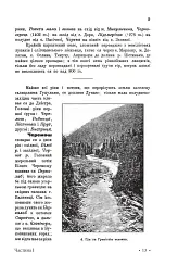 Гуцульщина. Частина І-ІІ - мініатюра 10