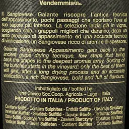 Вино Medici Ermete Galante Sangiovese Appassimento, червоне, сухе, 14,5%, 0,75 л - мініатюра 3