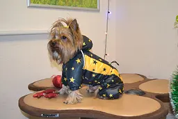 Комбінезон Smart Pet Звіздар