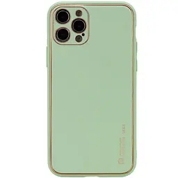 Шкіряний чохол Xshield для Apple iPhone 13 Pro Max (6.7) Зелений / Pistachio