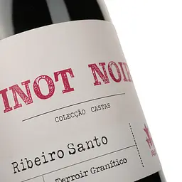 Вино Magnum Ribeiro Santo Pinot Noir DO Dao 2017 червоне сухе 0.75 л - мініатюра 3