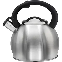 Чайник Zauberg 3 л сріблястий (000033535)