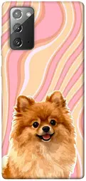 TPU чохол Demsky Pastel spitz для Samsung Galaxy Note 20