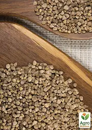 Насіння Agro-Market Шпинат гігантський на вагу ціна за 7 г (35738) - мініатюра 3