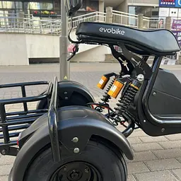 Триколісний сітікоко EVOBIKE Grizzly X3 Pro з вантажкою корзиною - мініатюра 12