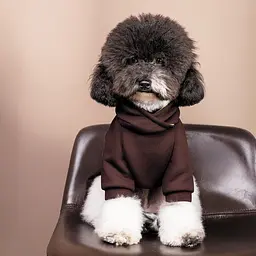 Толстовка Pet Fashion Megan S коричнева - мініатюра 4