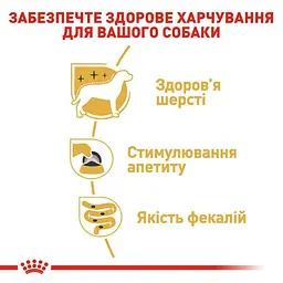 Вологий корм Royal Canin Yorkshire Adult для дорослих собак породи Йоркширський тер'єр 85 г (2040001) - мініатюра 3