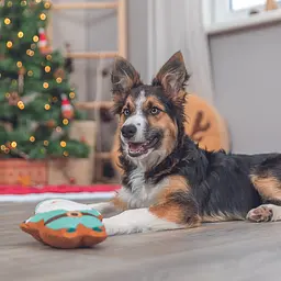 Іграшка для собак Trixie Санта зі звуком плюш 22 см (92603_Christmas) - мініатюра 4