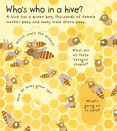 Lift-the-Flap First Questions & Answers: Why Do We Need Bees? - мініатюра 6