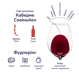 Вино Casillero del Diablo Cabernet Sauvignon, червоне, сухе, 13%, 0,75 л - мініатюра 6