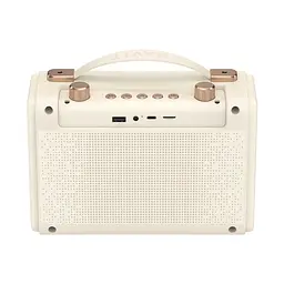 Портативна ретро колонка караоке HAVIT SK823BT 16W RGB Beige HAVIT (28308-000)