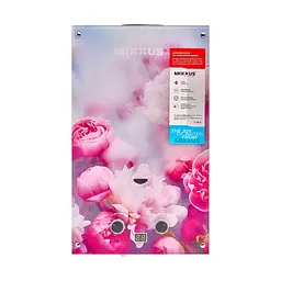 Газова колонка Mixxus GWH-0410 Basic Glass димохідна 10 л/хв (панель зі скла з малюнком) WH0025 - мініатюра 6