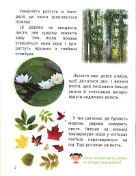 Класна абетка. Рослини - мініатюра 3