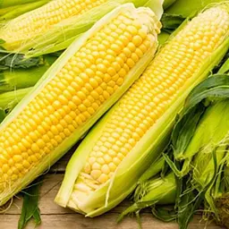 Кукурудза Весна Бондюель (у банці) Органік 30г (105636) - мініатюра 2