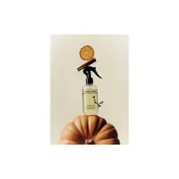 Освіжувач повітря Sister's Aroma Пряний гарбуз Парфумований спрей для кімнати та текстилю 230 мл (4820227786039) - мініатюра 4