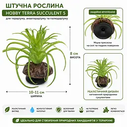 Штучна рослина Hobby Terra Succulent 5 8 см (37734) для тераріуму, акватераріуму та палюдаріуму - мініатюра 2