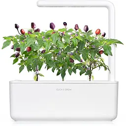 Змінний картридж Click & Grow Smart Garden Перець Чілі фіолетовий, 3 капсули (8745) - мініатюра 4