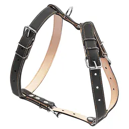Шлея подвійна CoLLaR для середніх собак