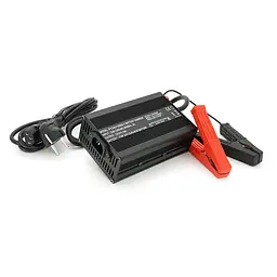 Зарядний пристрій Voltronic для акумуляторів AGM 24V 10A
