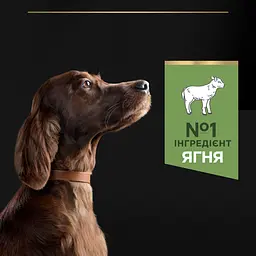 Сухий корм для дорослих собак великих порід з чутливим травленням Purina Pro Plan Large Athletic, з ягням, 14 кг - мініатюра 5