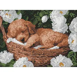 Алмазна мозаїка "Сплячий пудель" art_selena_ua Ideyka AMO8170, 30x40 см